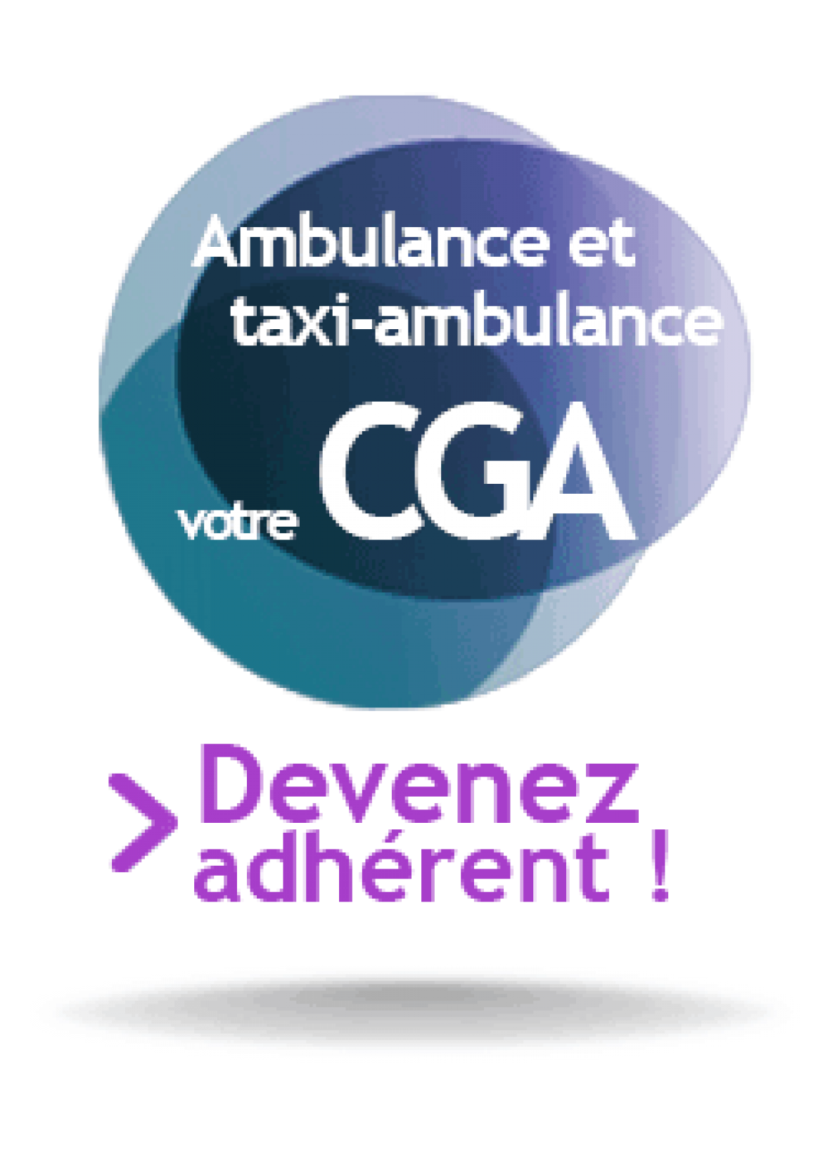 Ambulance et taxi-ambulance 8690A1