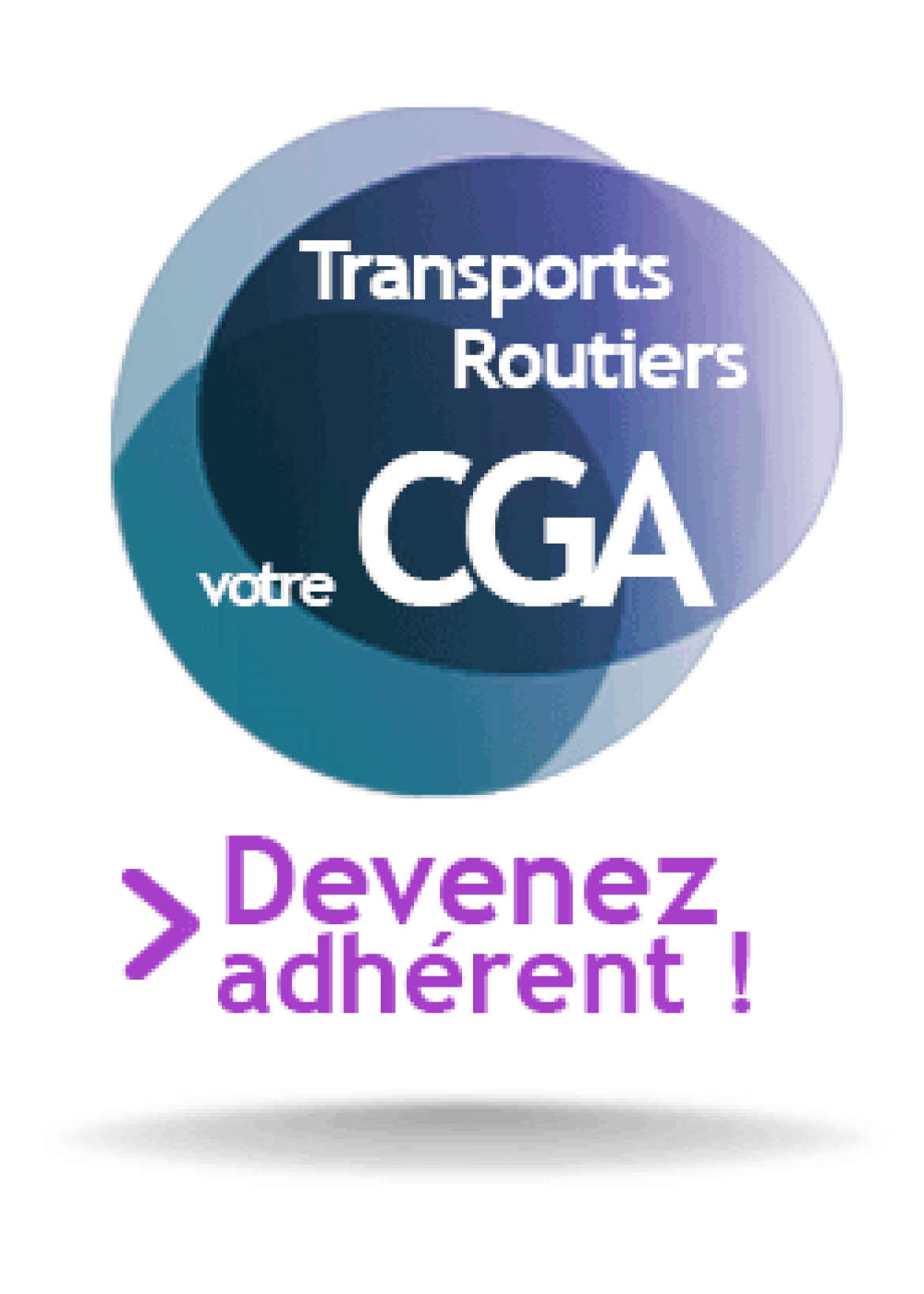 Transports Routiers 4941A2